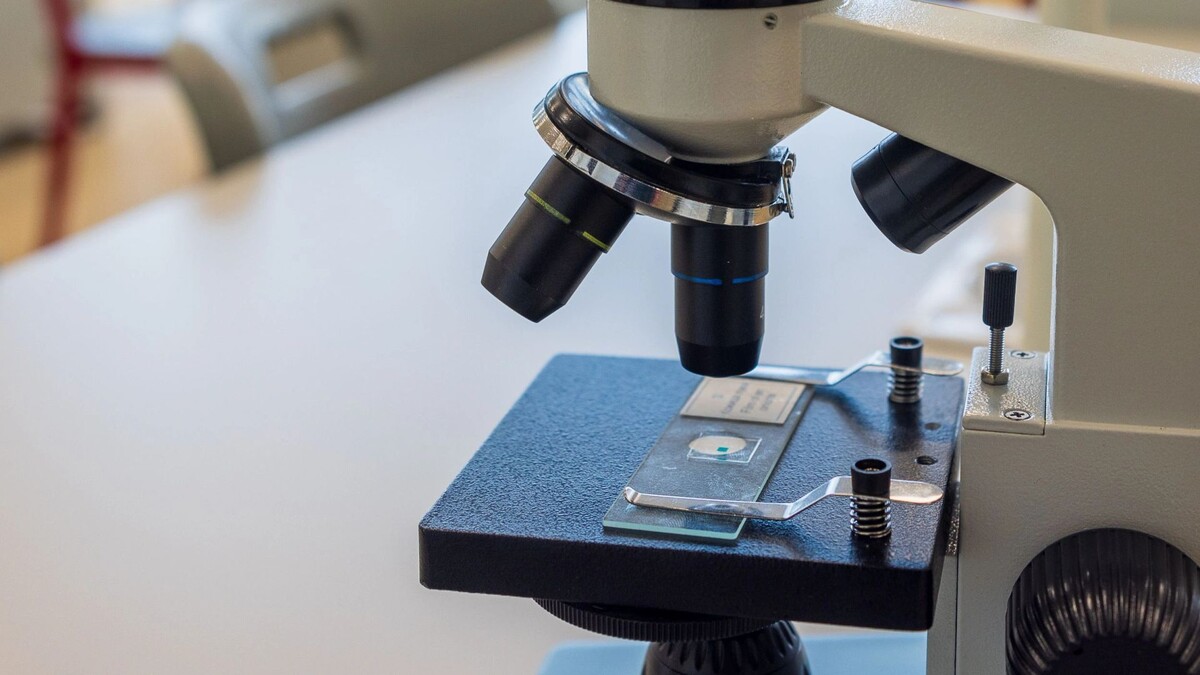    Фото: Федор Воронов/«Ямал-Медиа»