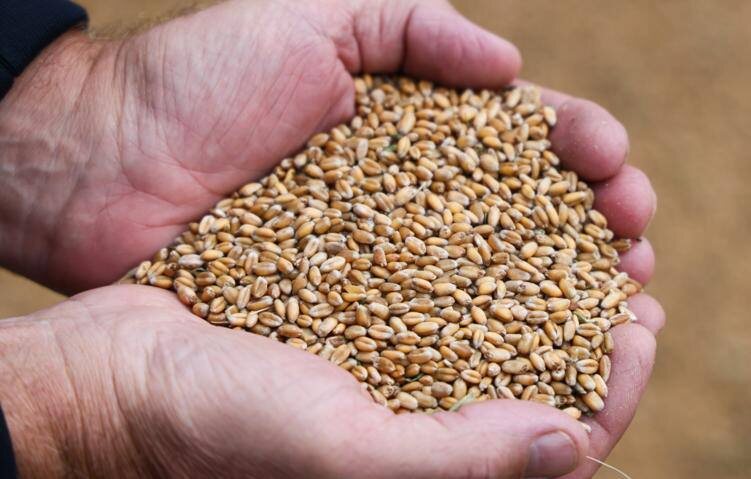    © Александр Щербак/ ТАСС