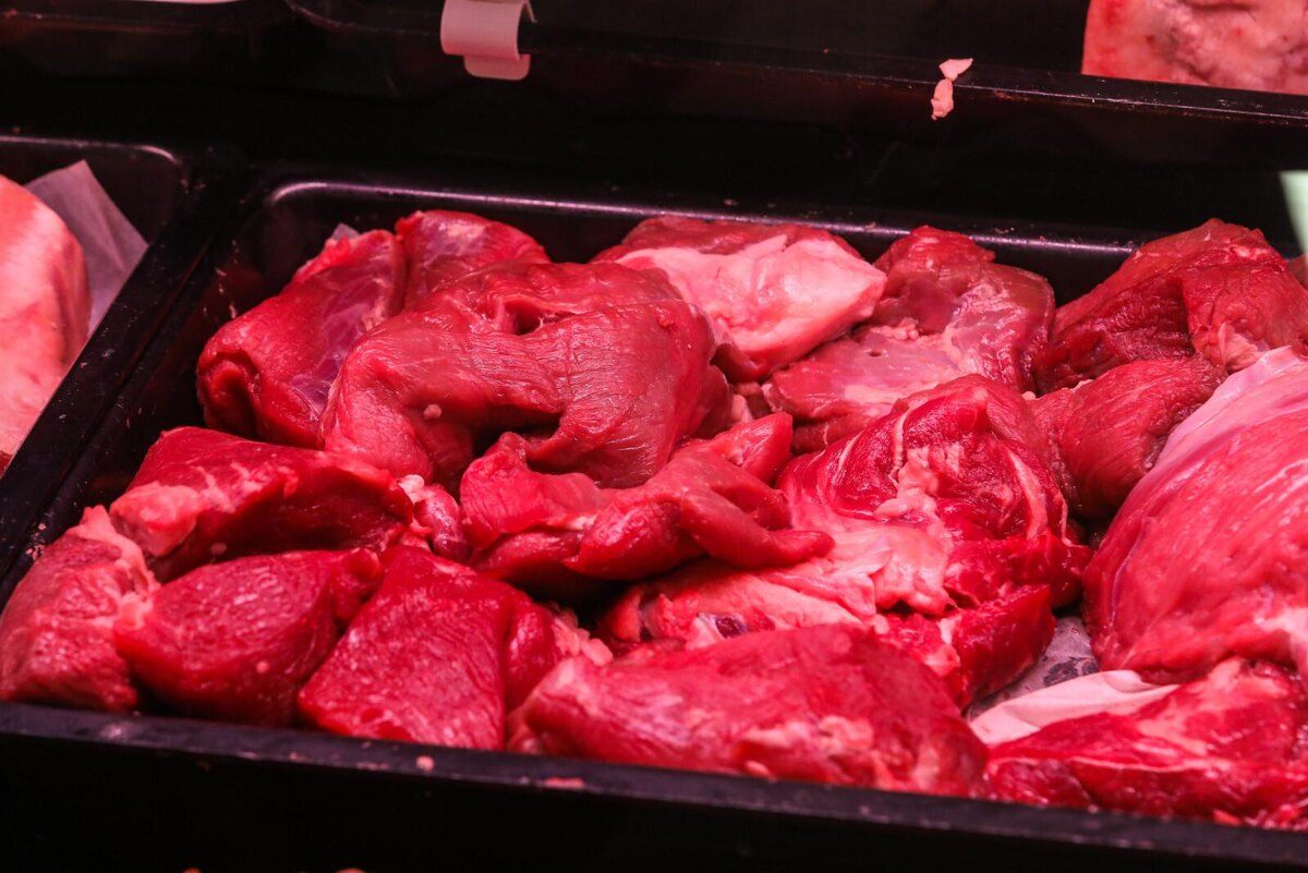 Фото: Роман Пименов/«Петербургский дневник»