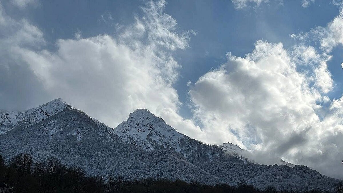    Фото: телеканал «Краснодар»