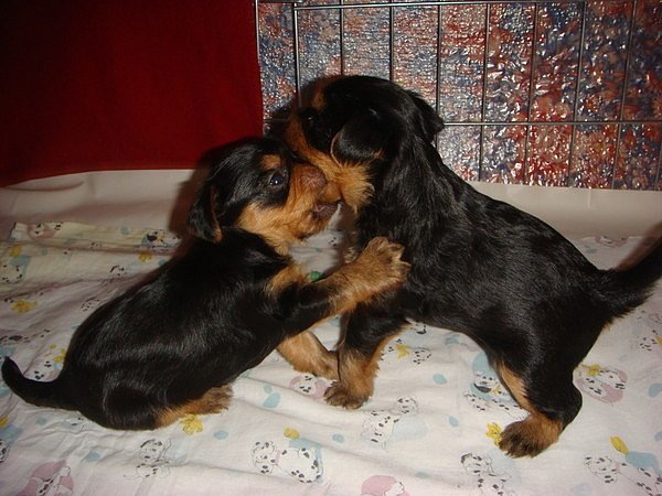 фото из личного архива :)