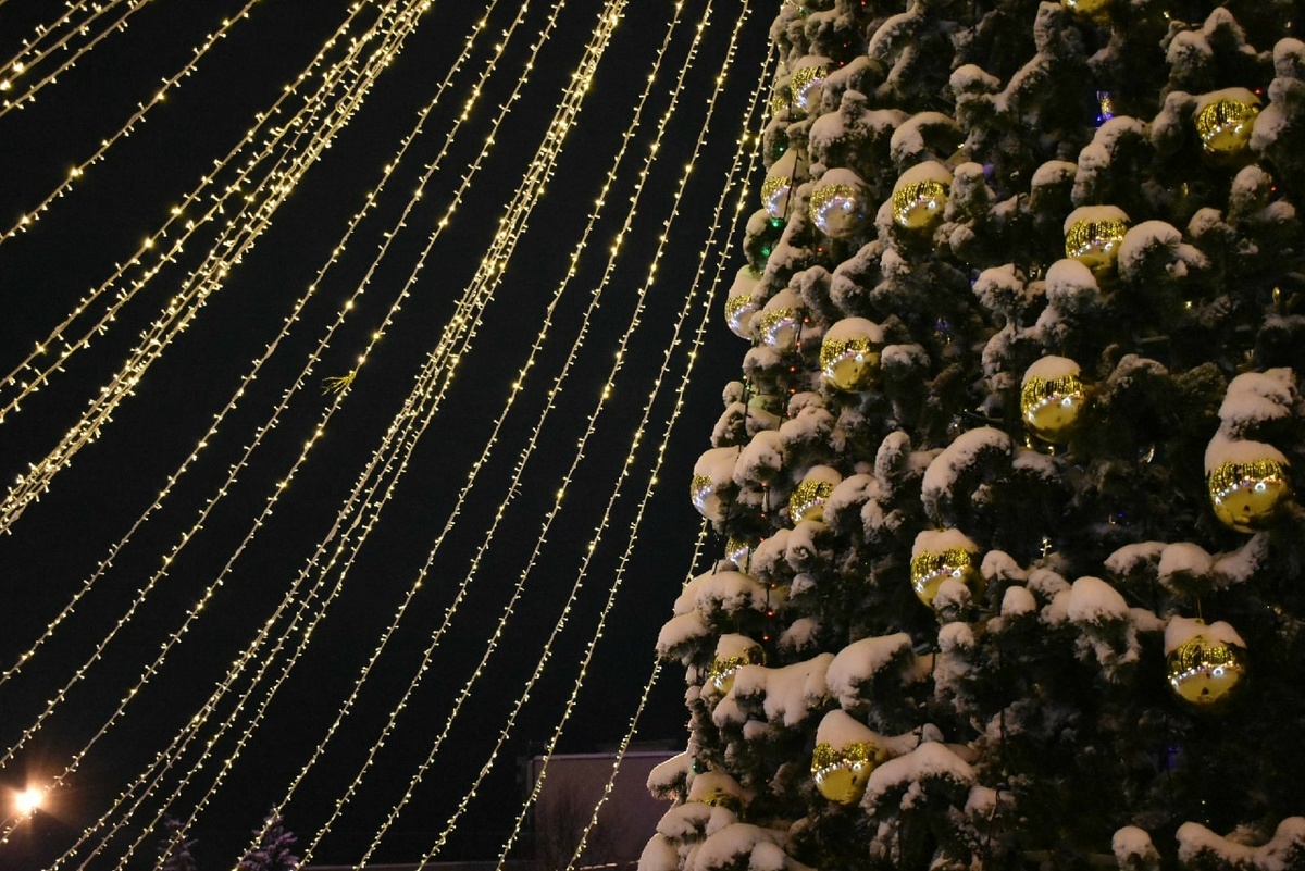    Фото: ГТРК Карелия