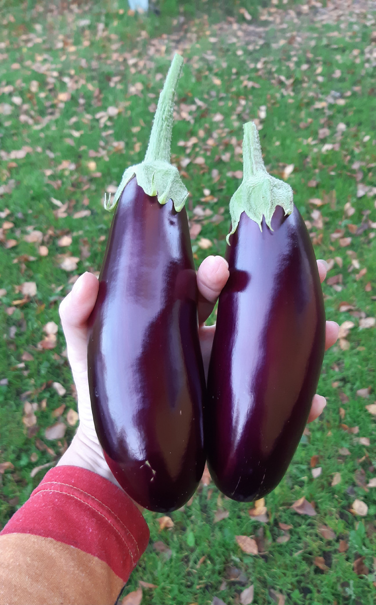 Фото 10 сентября