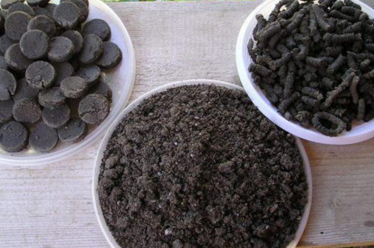 Источник фото: ogorod.ru