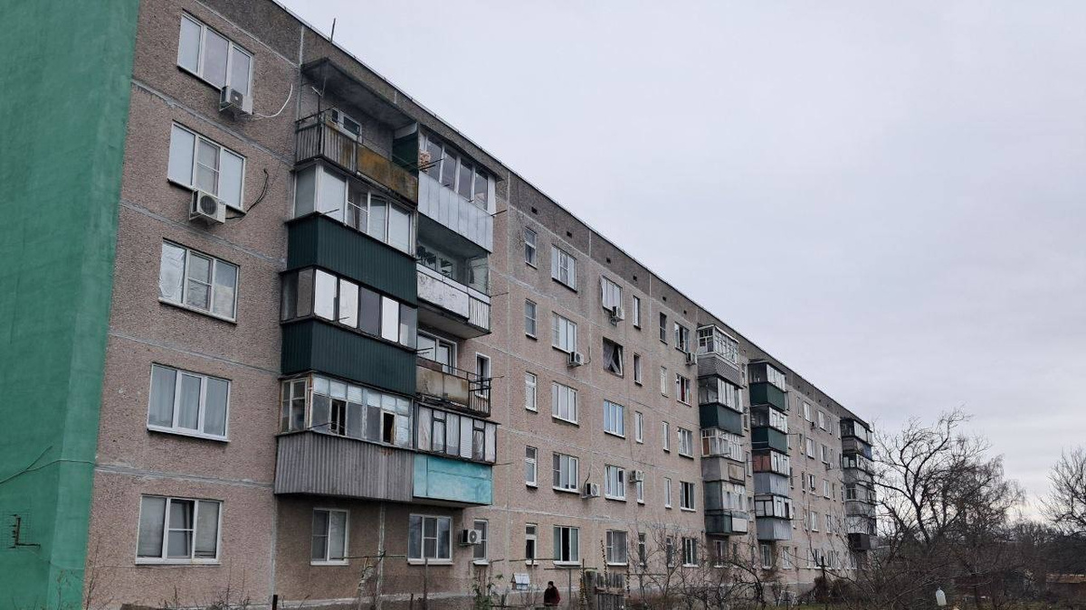     Александр Хинштейн/Telegram