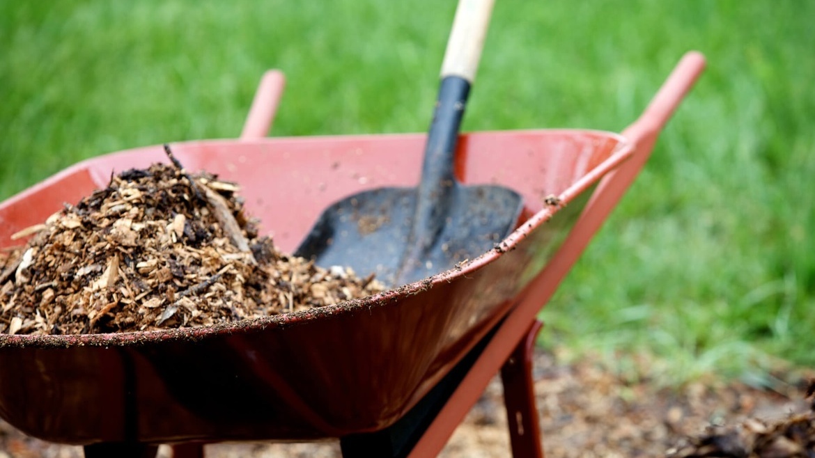 Опилки могут стать ценным удобрением уже к весне