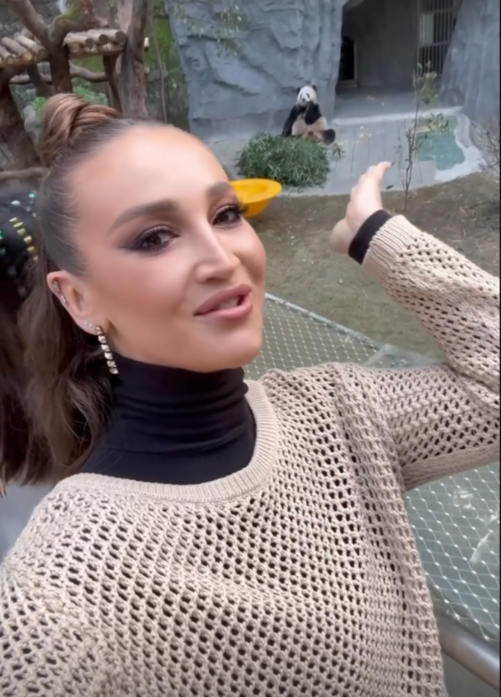 Все фото взяты из открытых источников