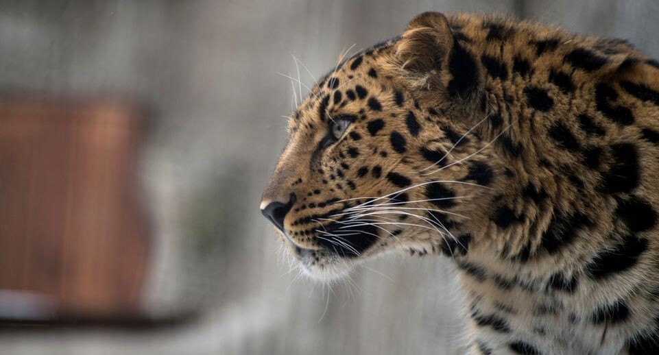    Медиасток.рф