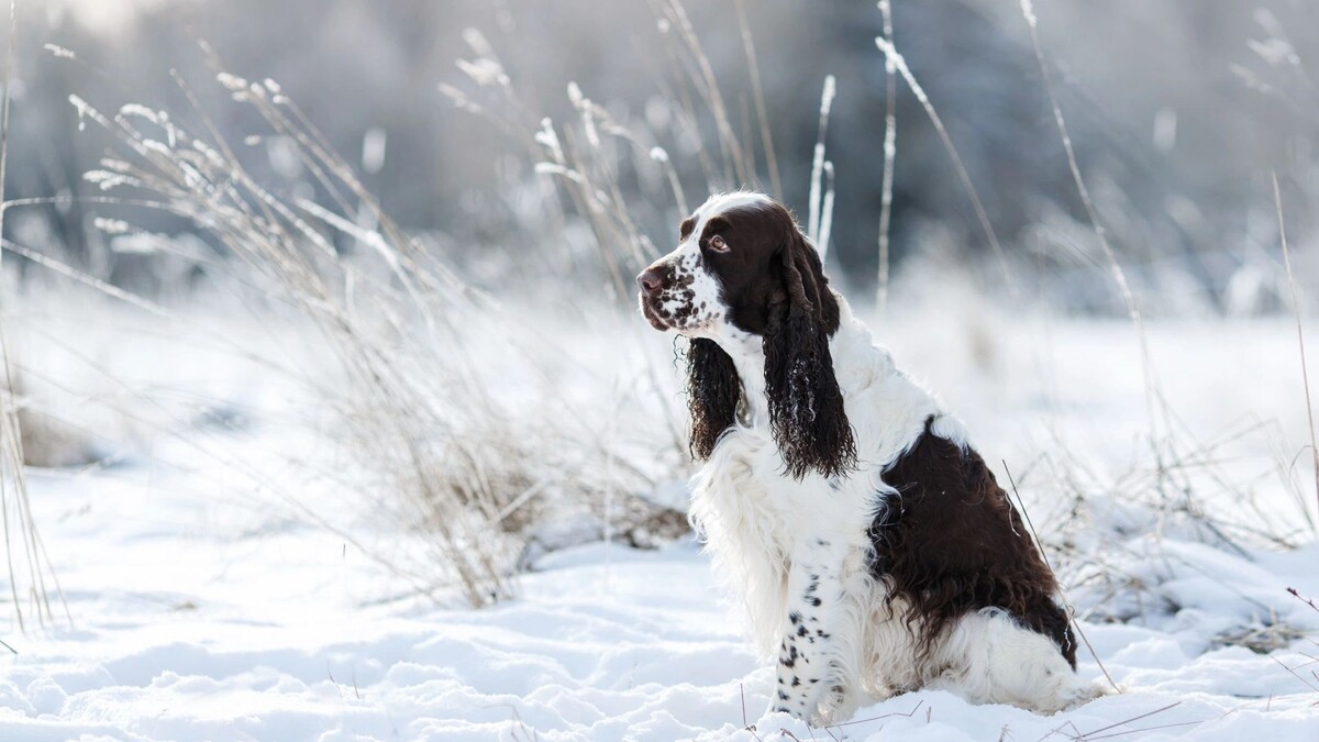    Фото: Anna Averianova / Shutterstock / Fotodom
