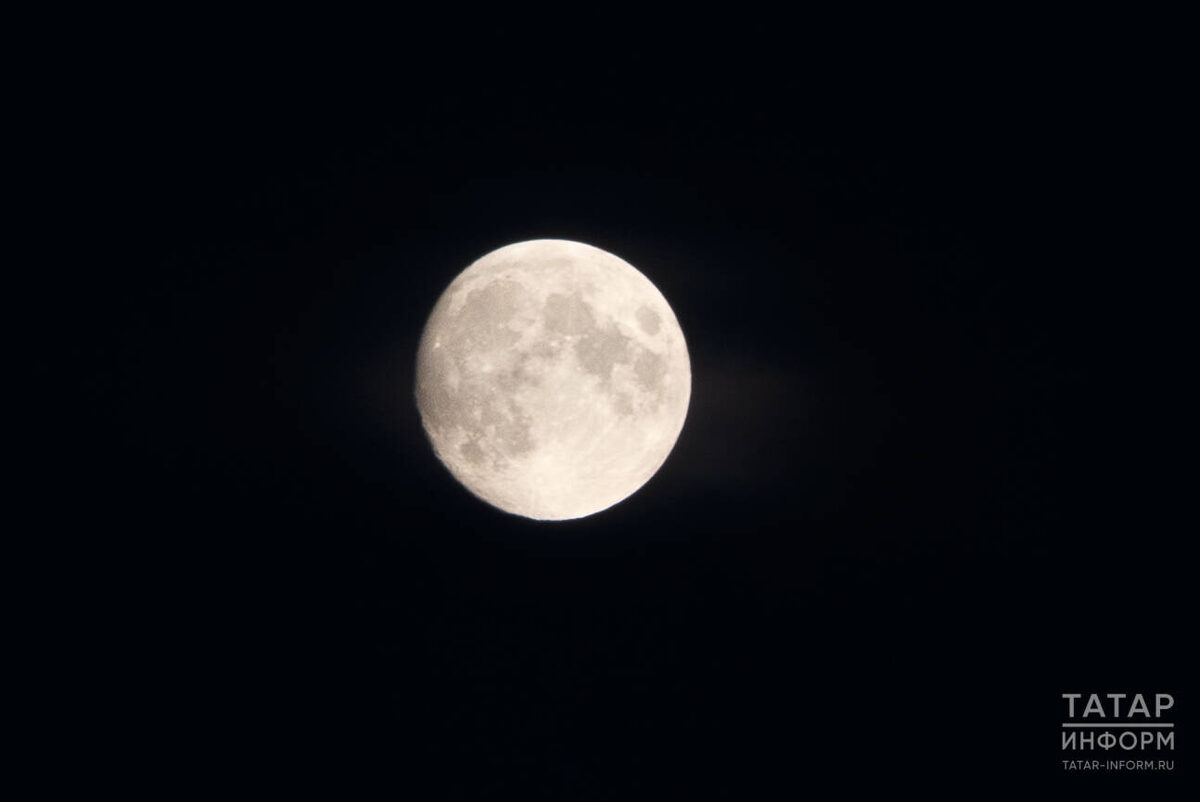 Фото: © Владимир Васильев / «Татар-информ»