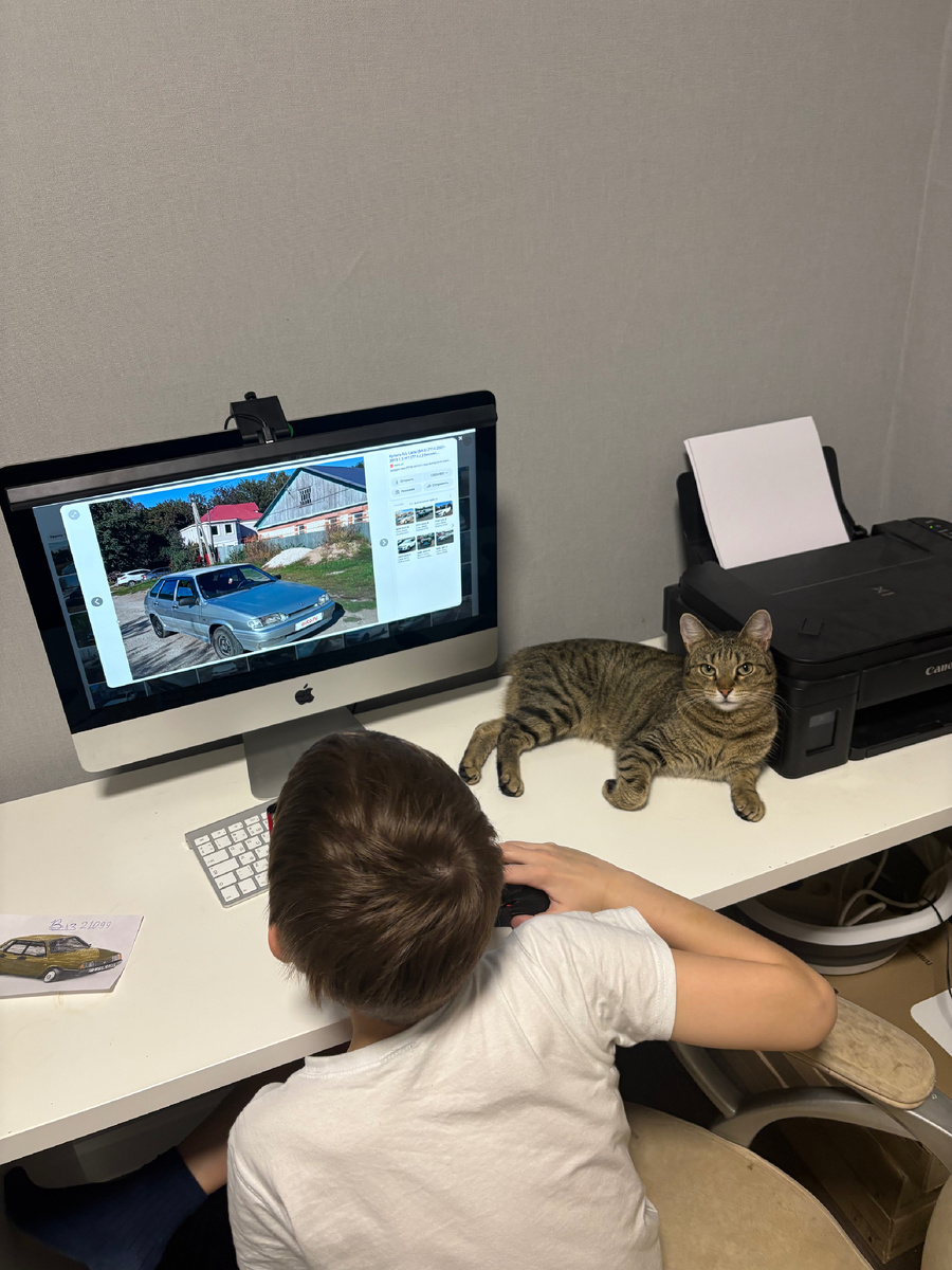 Кошенька: «Давайте срочно обсуждать, а то у нас всё четырки да четырки»