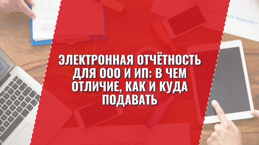 Электронная отчётность для ООО и ИП: в чем отличие, как и куда подавать