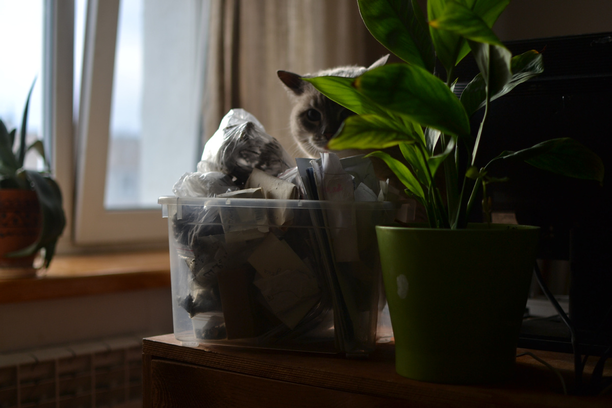 Коробка с семенами на этот сезон