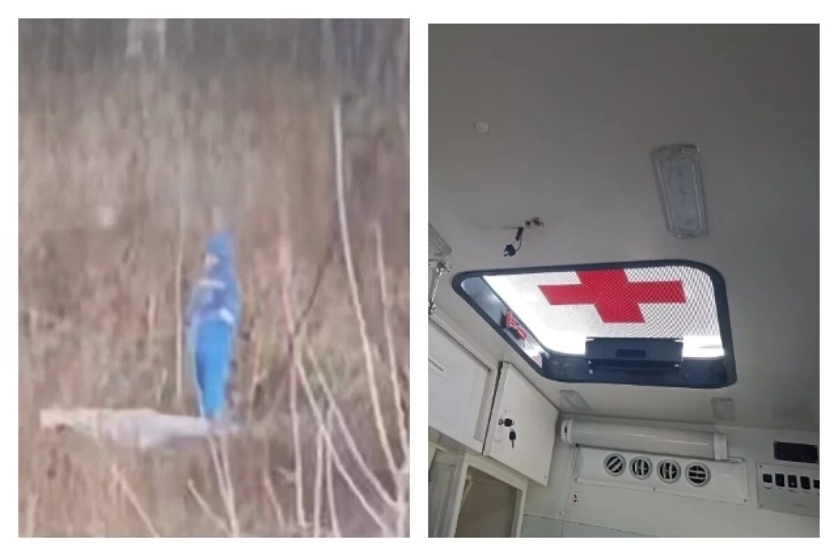    В сети сообщалось, что ещё один мальчик в реанимации