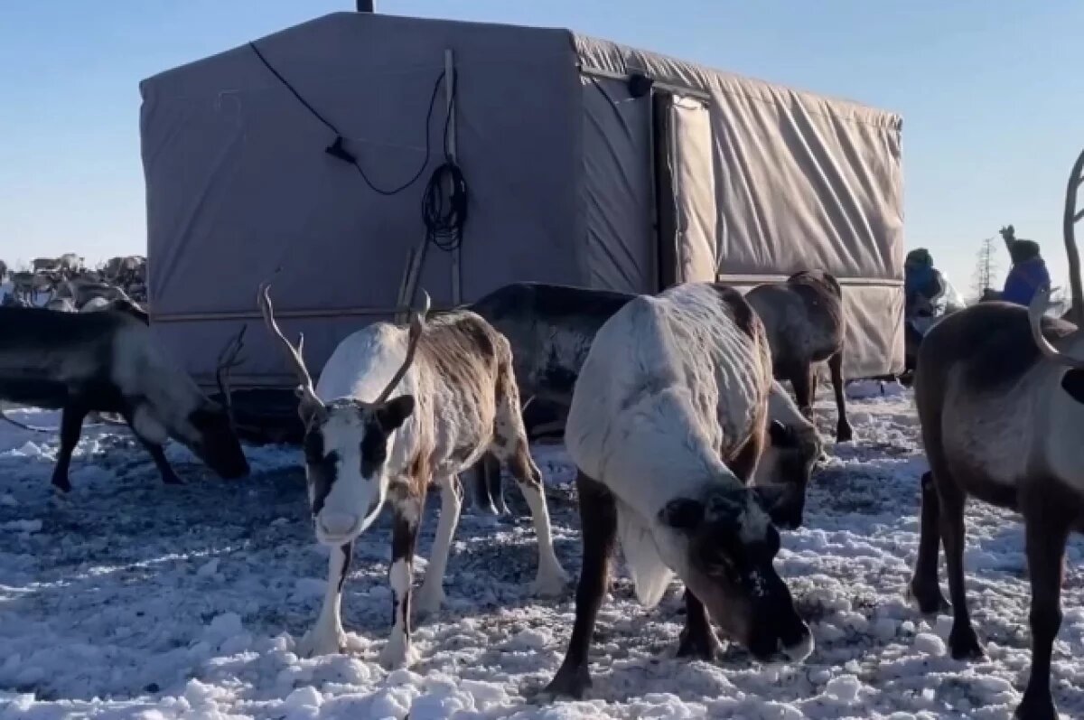    На Таймыре 66 семей коренных малочисленных народов получат мобильные дома