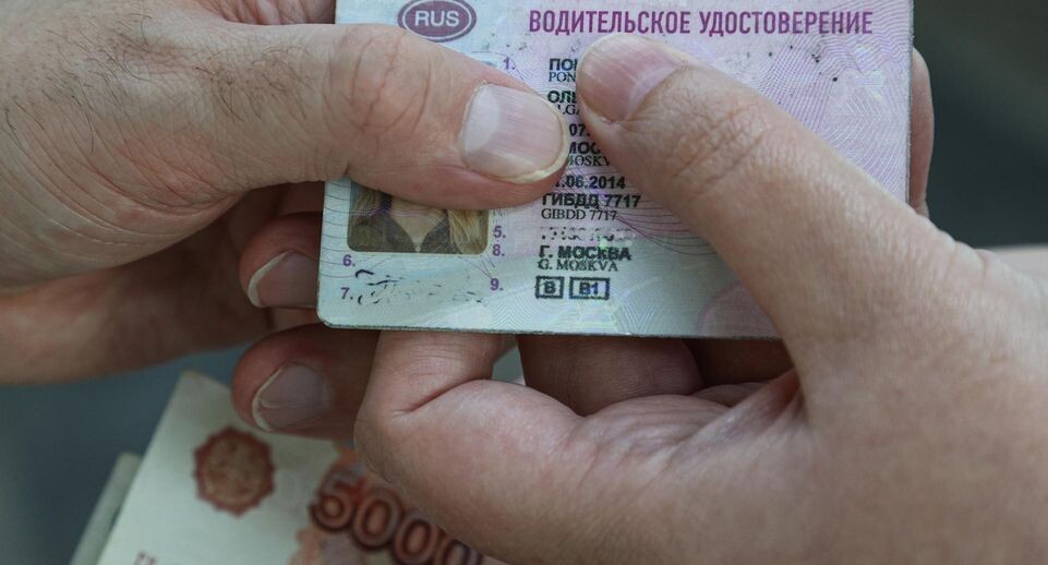    Bulkin Sergey/news.ru / www.globallookpress.com