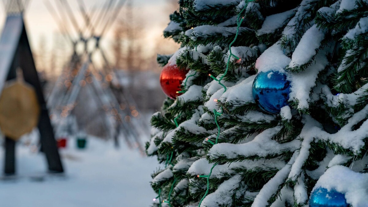    Фото: Сергей Зубков / «Ямал-Медиа»