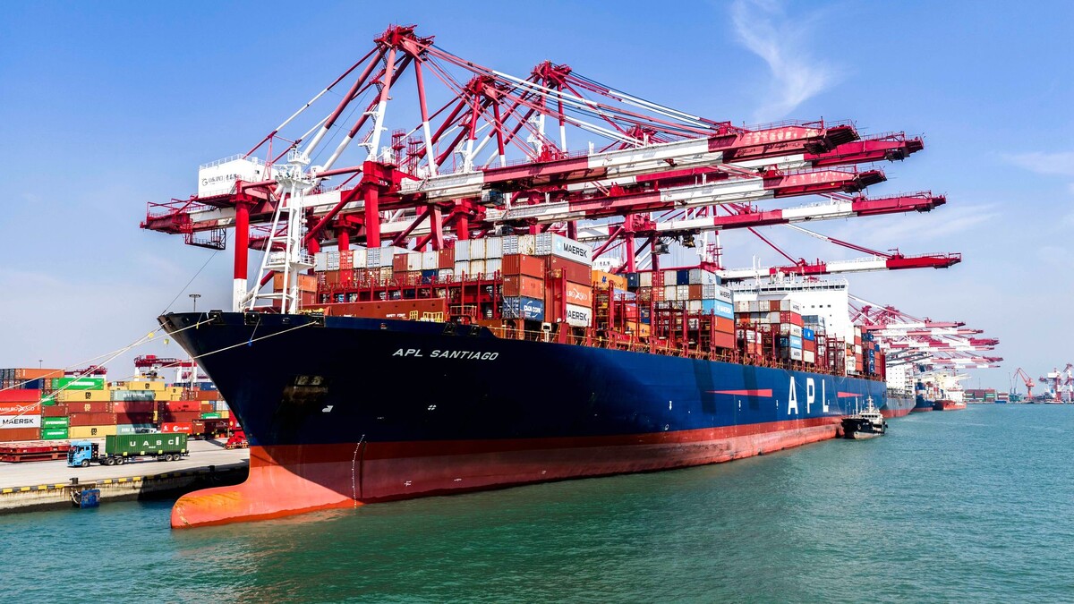     / Источник: © Global Look Press