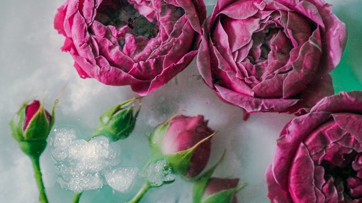 Светлана Мулыкина📷
