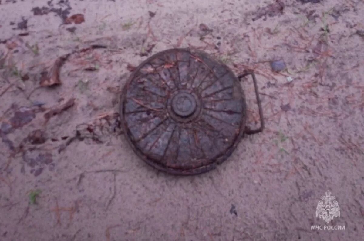    Два мины времен Великой Отечественной войны обезвредили на Брянщине