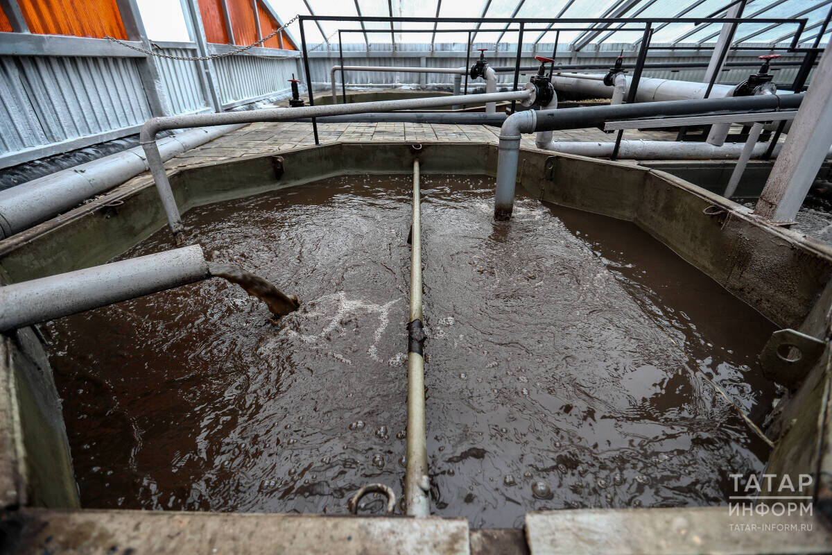 Компания, где Землянский работает директором, занималась строительством очистных сооружений в поселке Нижние Вязовые. На эти работы в том числе из бюджета Татарстана были выделены средства по федеральному проекту «Оздоровление Волги»Фото: © «Татар-информ»
