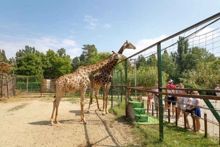 Трамвайная улица, 2/19, Краснодар