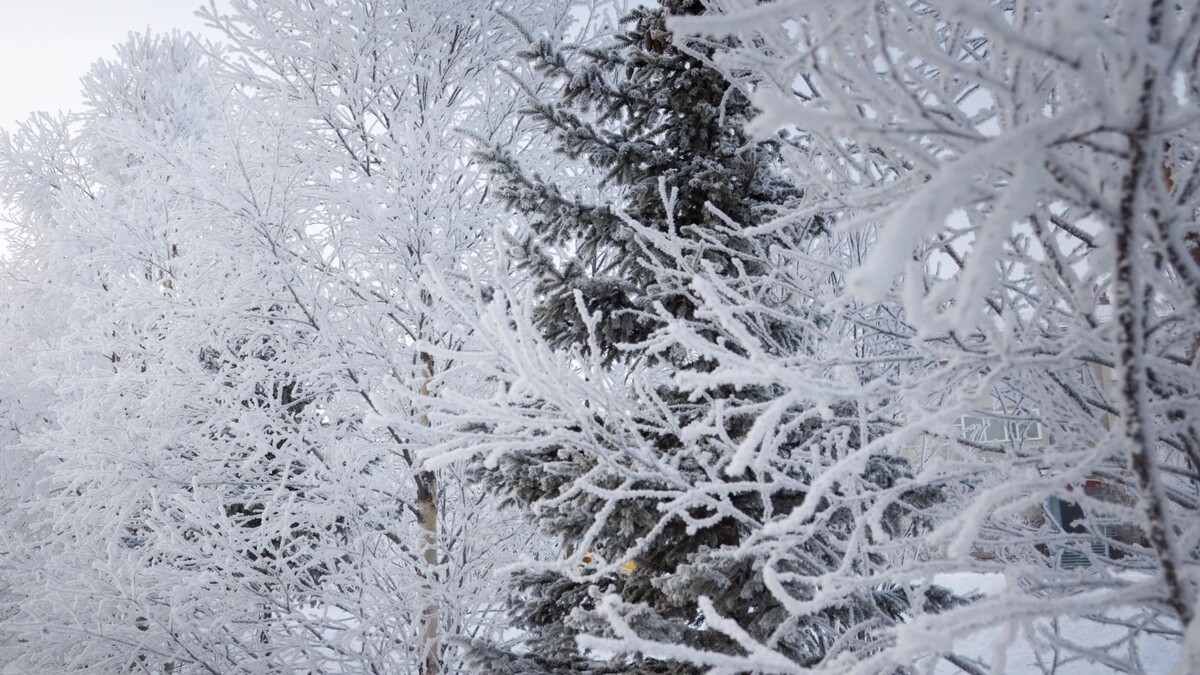    В день памяти Иоанна Златоуста отмечают народный праздник – Осенние зяби. Фото: Василий Петров / АНО «Ямал-Медиа»