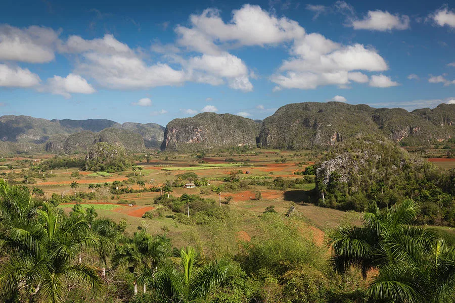 Куба. Фото dishcuss.com