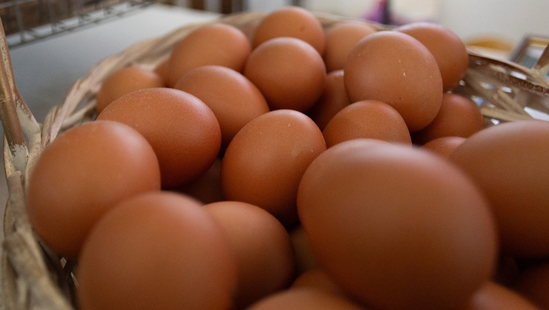      Фото: Валерия Алтухова / / ИА «Победа26»