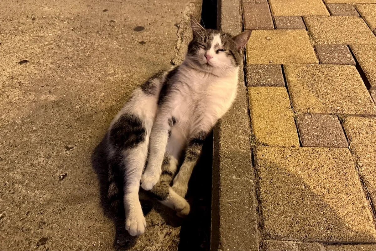 Фото: UfaTime.ru