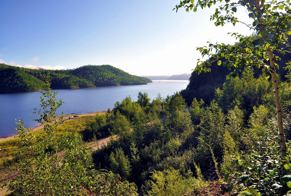 Живописный вид на зелёные холмы и широкую реку Амурской области в солнечный день