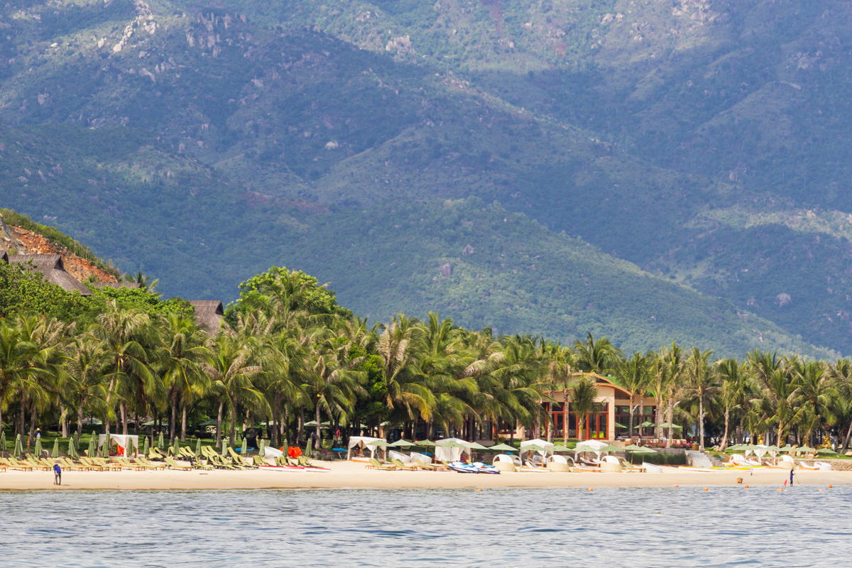    Фото: Duc Huy Nguyen / Shutterstock.com