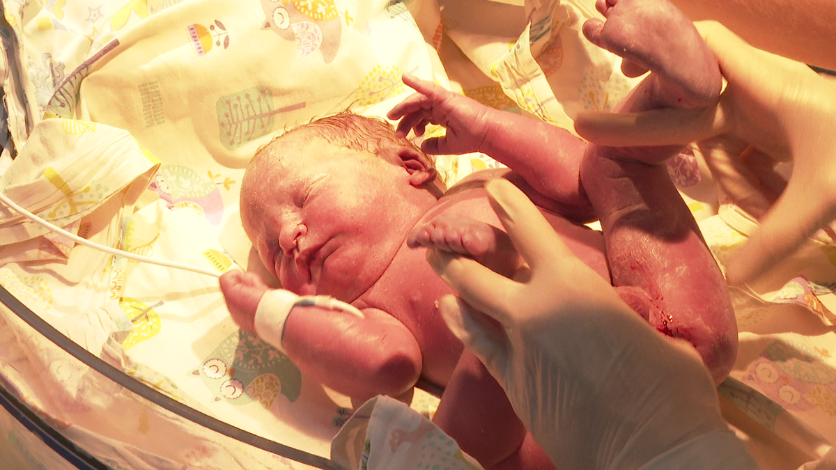 Фото: Мир Белогорья