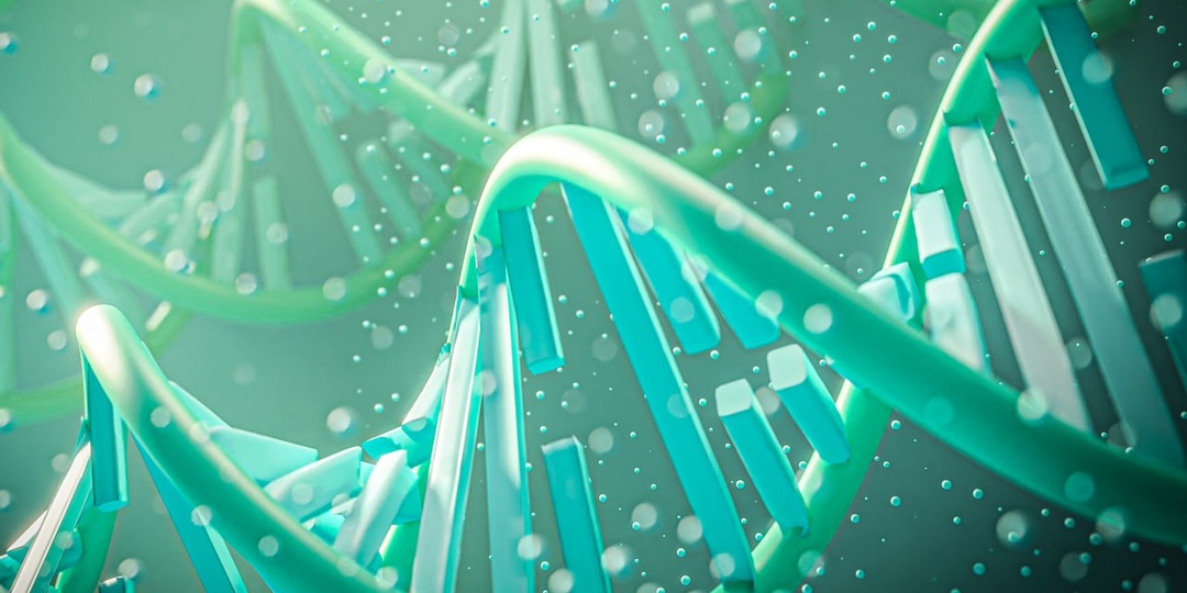 Российские генетики впервые изучили редкую и древнюю генетическую ветвь – гаплогруппу Y-хромосомы N-B482