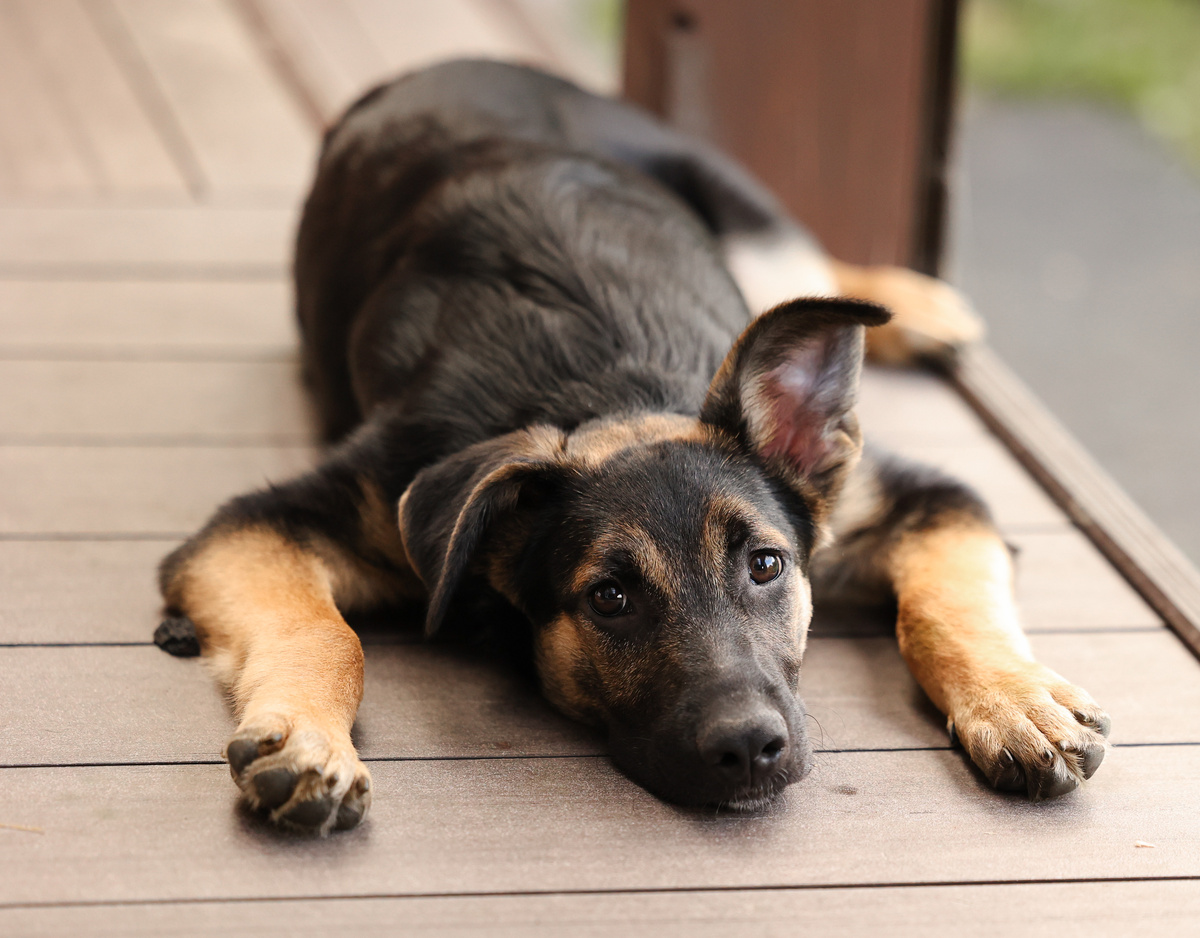 Я вырос и стал не просто хорошим мальчиком - стал супер хорошим мальчиком!