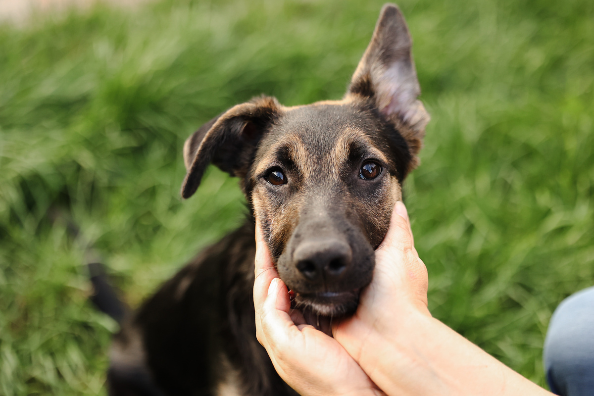 Какие еще вам глазки сделать, чтобы я поехал домой?