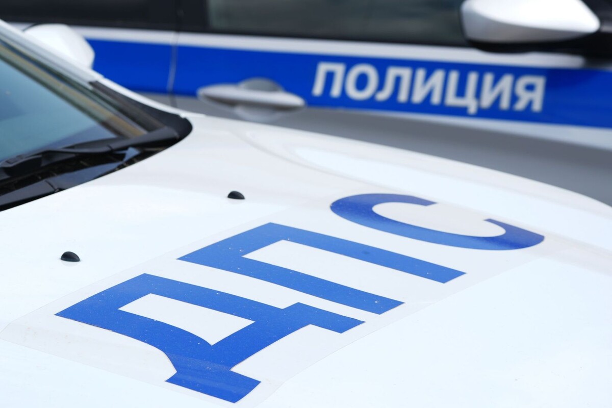     / Источник: © ИЗВЕСТИЯ/Эдуард Корниенко