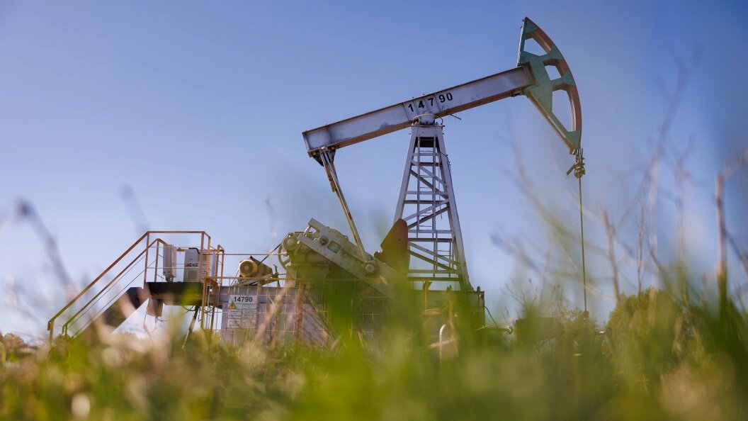    Sergey Elagin/Business Online/Globallookpress