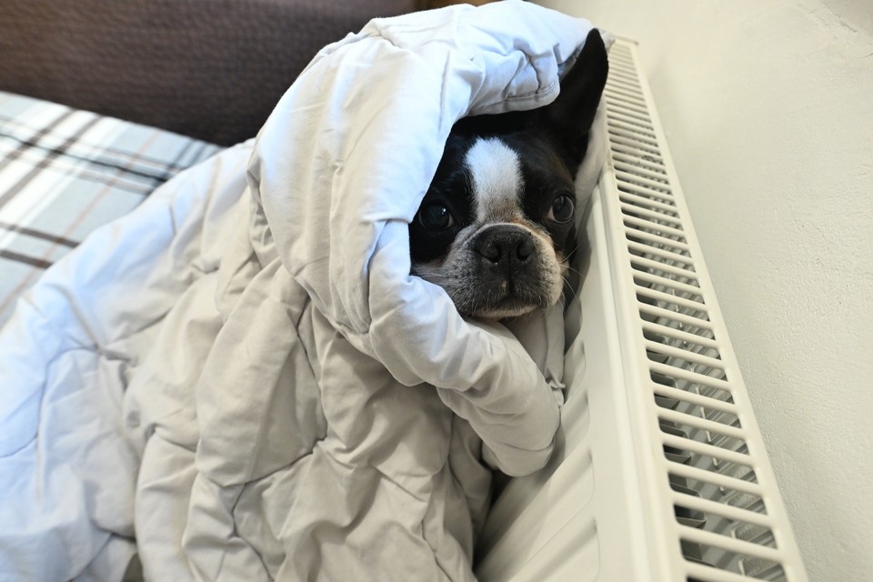    За первые два месяца отопительного сезона зафиксировали 149 аварий. Евгения ГУСЕВА