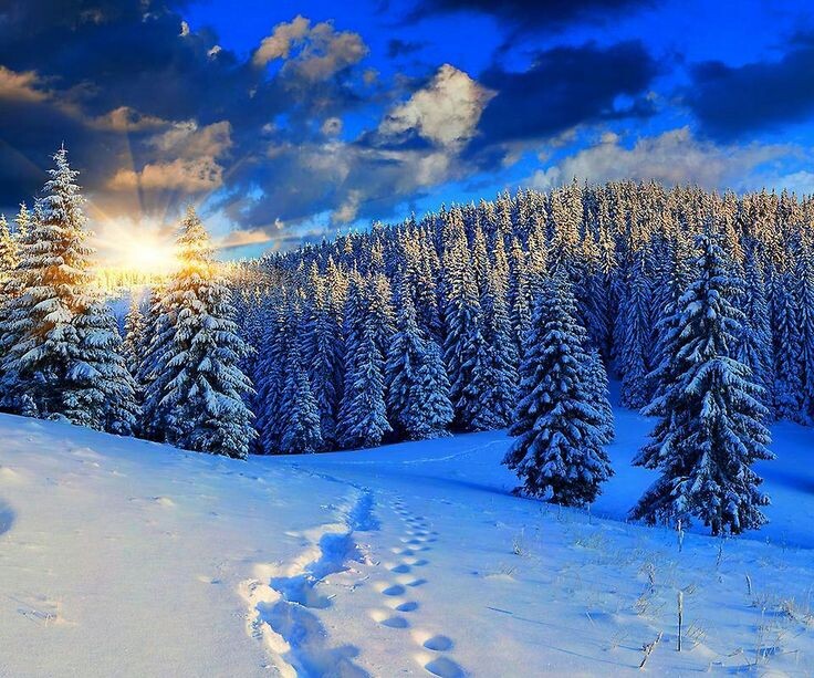 Картинка найдена на просторах интернета, ссылка https://yandex.ru/images/search?from=tabbar&img_url=https%3A%2Fi%2F.pinimg.com%2Foriginals%2Fa8%2F34%2Fа3f%2Fa83р43f81с22879b5e7bd53274cf0591a19.jpg&lr=47&pos=15&rpt=simage&text=%D1%86%D0%B2%D0%B5%D1%82%D1%8B%20%D0%BA%D1%80%D1%83%D0%BF%D0%BD%D0%BE%20%D1%84%D0%BE%D1%82%D0%BE