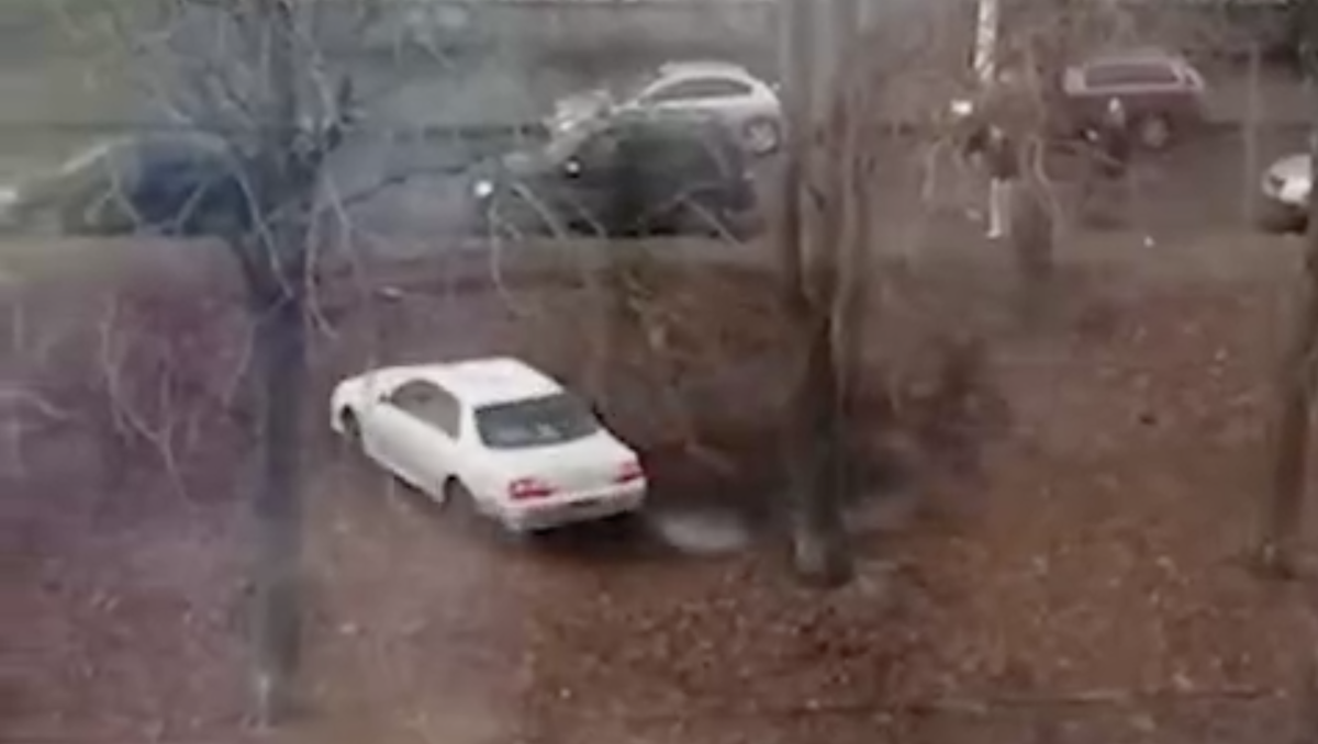 Фото: Управление ГИБДД по Санкт-Петербургу и Ленинградской области / t.me/ugibdd78