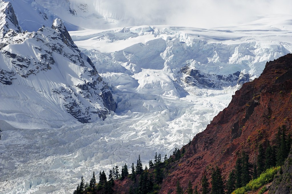 Тибетское чудо: ледник Мидуй, который живёт рядом с соснами