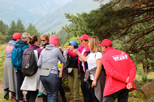 Общая цель и видение