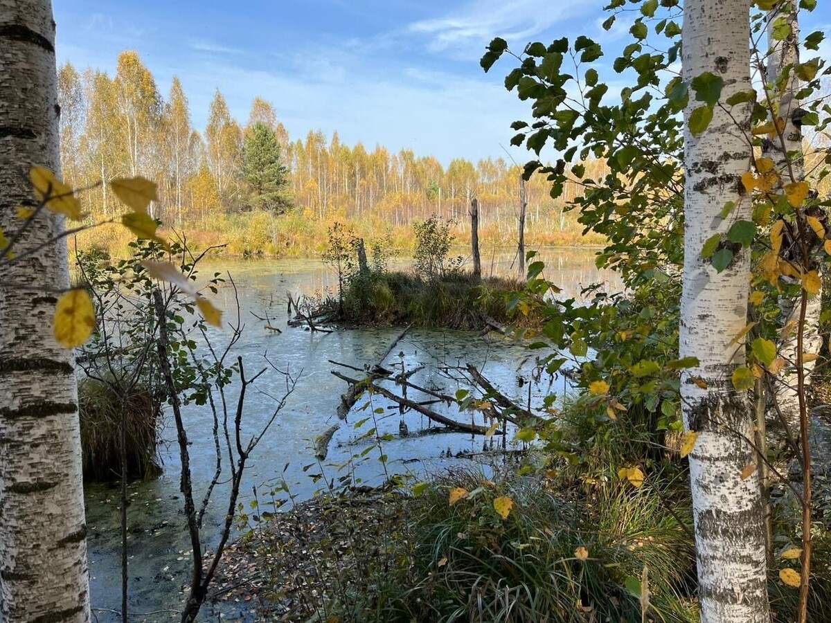 Фото предоставлено местными жителями