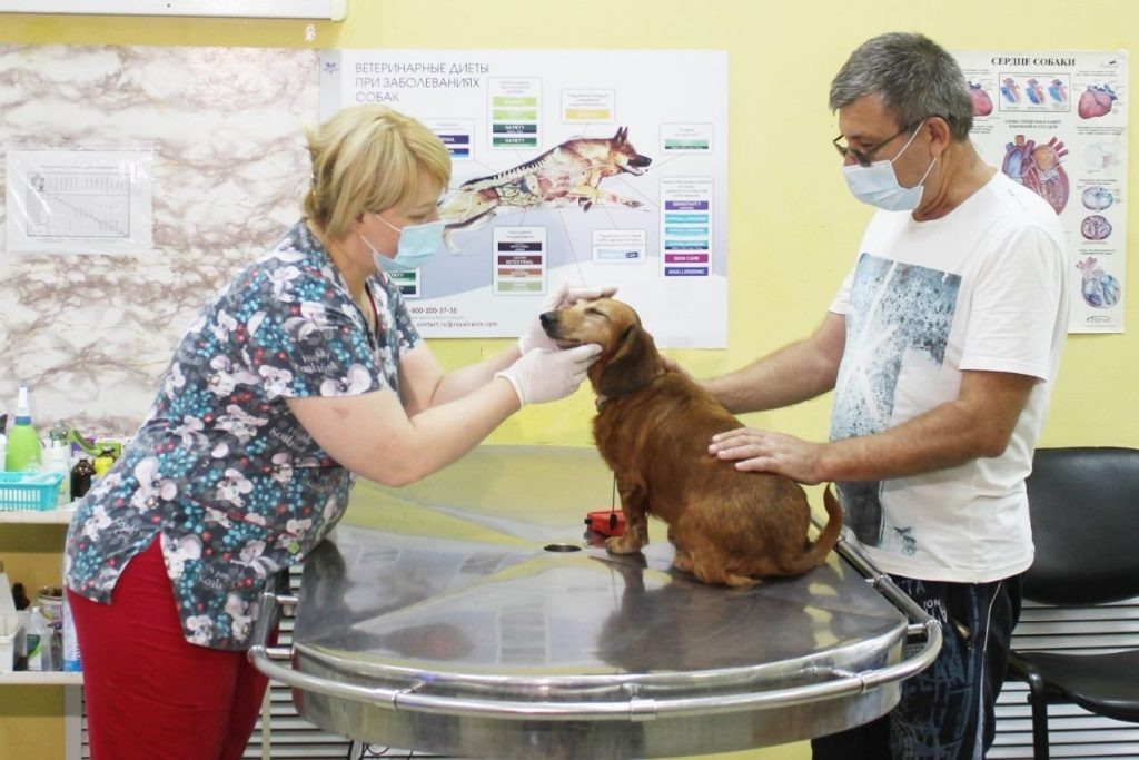    Фото: правительство РО. Газета "Земля"