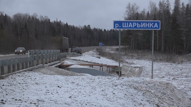    Фото: ГТРК Кострома