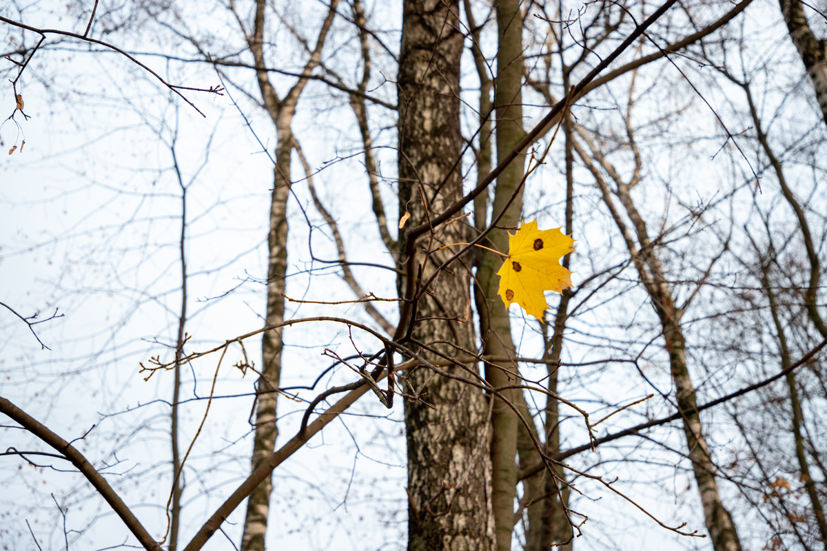 Фото: Тульская служба новостей