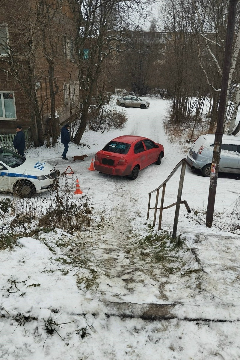    фото: © ГАИ Петрозаводска