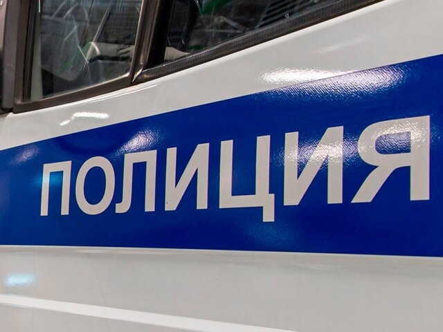    Фото: пресс-служба мэра и правительства Москвы/Максим Мишин