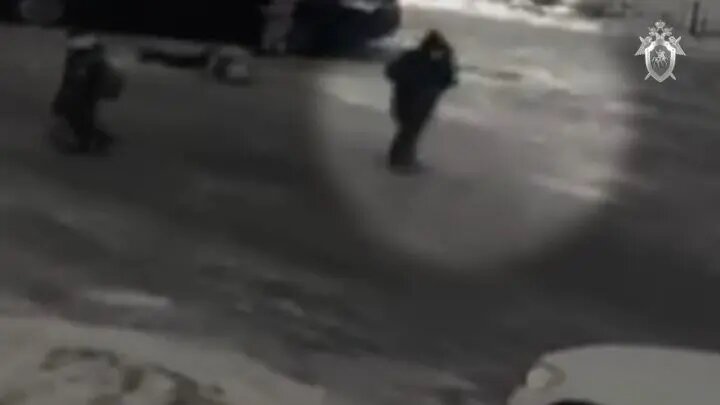    Фото: кадр видео СК России